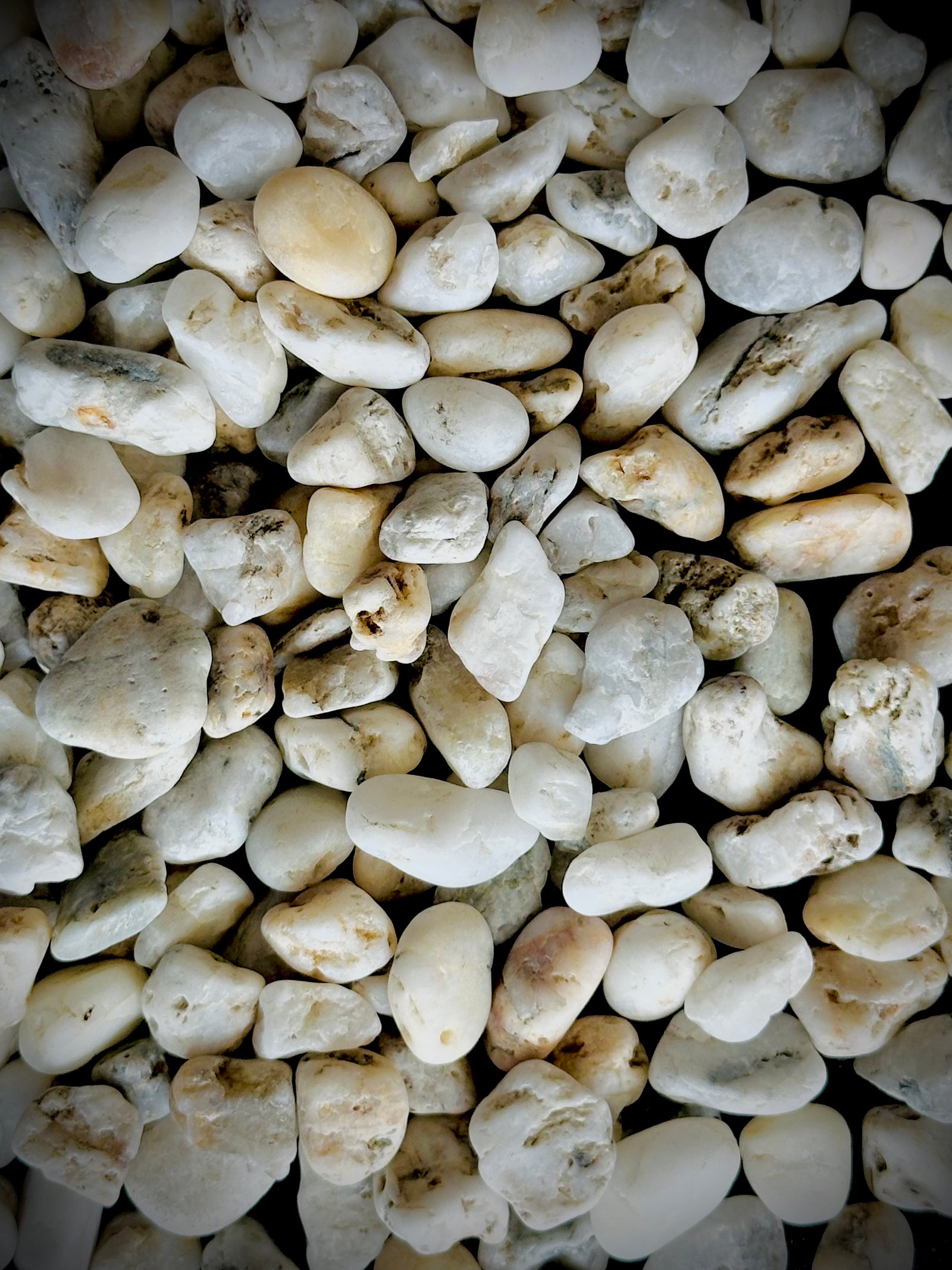 Selected White Pebbles