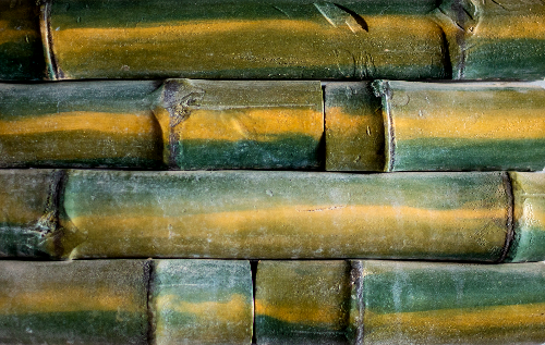Green Forest Bamboo